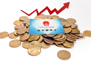 个人养老保险缴费标准