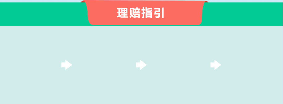 理赔指引