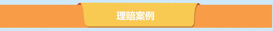 2016上半年理赔报告