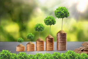 年金教育金保险投保注意事项 年金教育金保险投保注意事项
