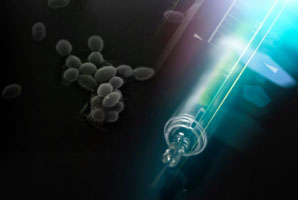 老年人大病保险