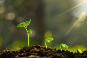 附约终止和退保的区别是什么?