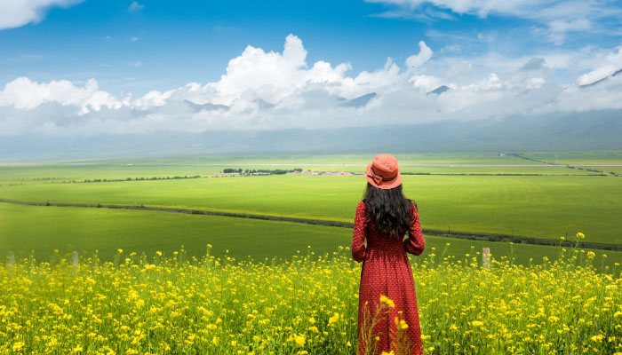 有教育险 保障险和教育险