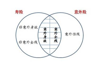 定期寿险独生子女的选择