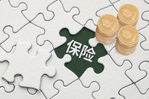承保风险
