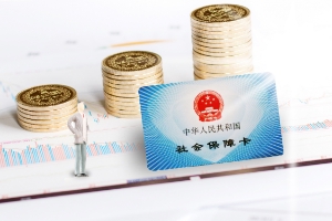 城乡大病保险