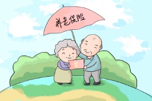 大病养老保险