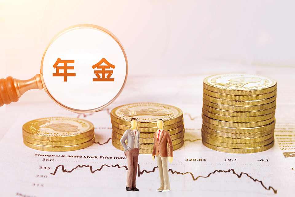 从年金保险的功能看，哪些人群适合年金保险