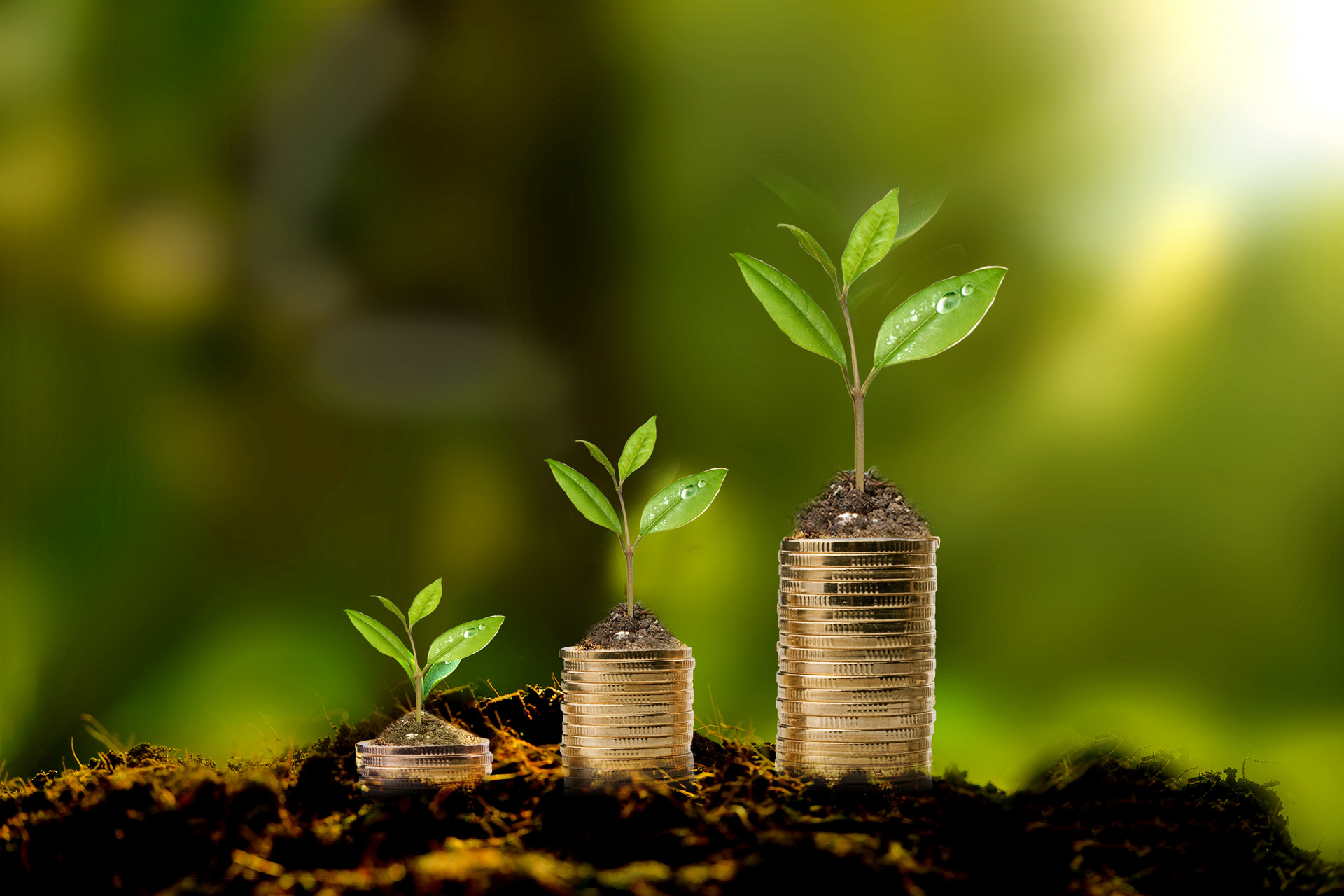 即期年金和普通年金计算方法是什么？