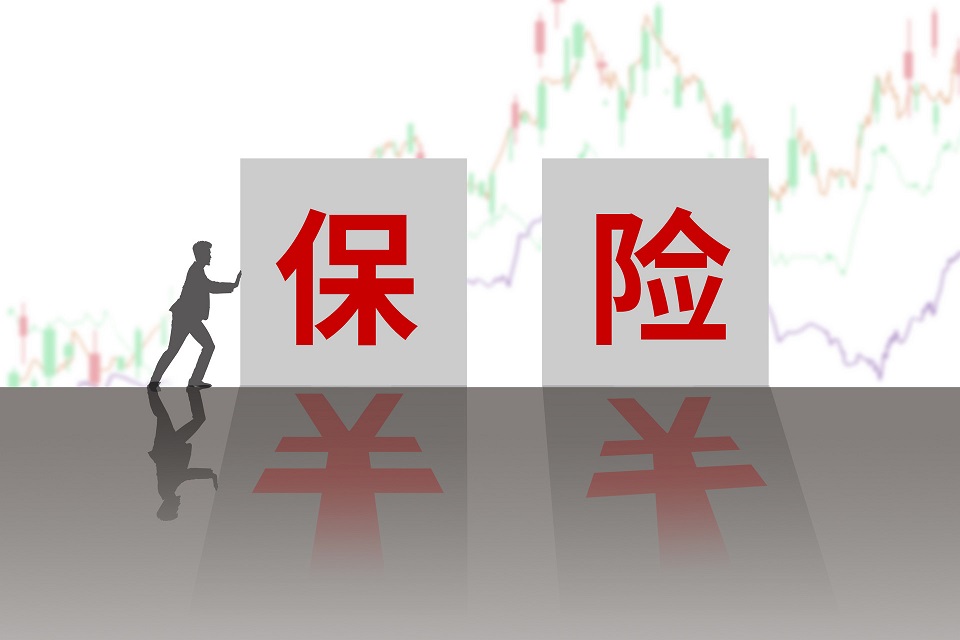重疾险赠险