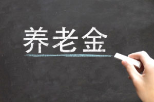 补充养老保险怎么查询