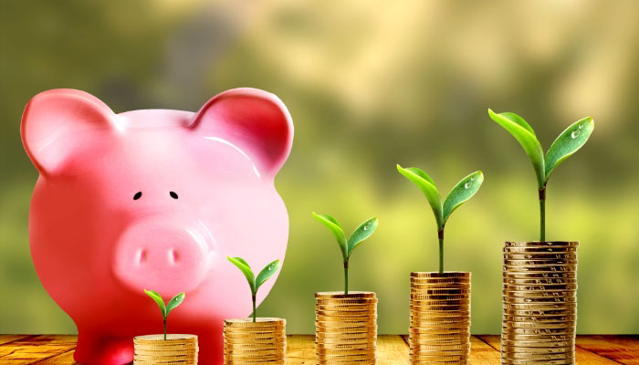 买分红型人寿保险划算吗?