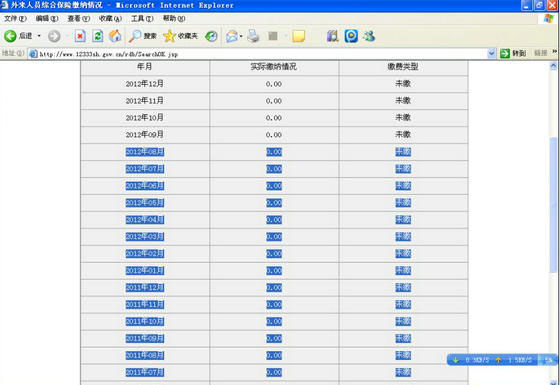 外来人员综合保险缴费查询