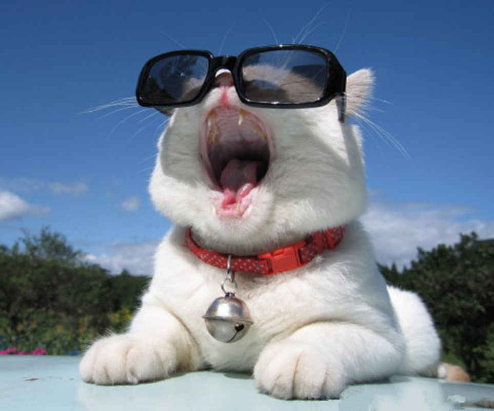 8大老人"心理疗法",轻松享晚年